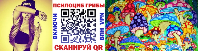 как найти   Мончегорск  Галлюциногенные грибы мицелий 